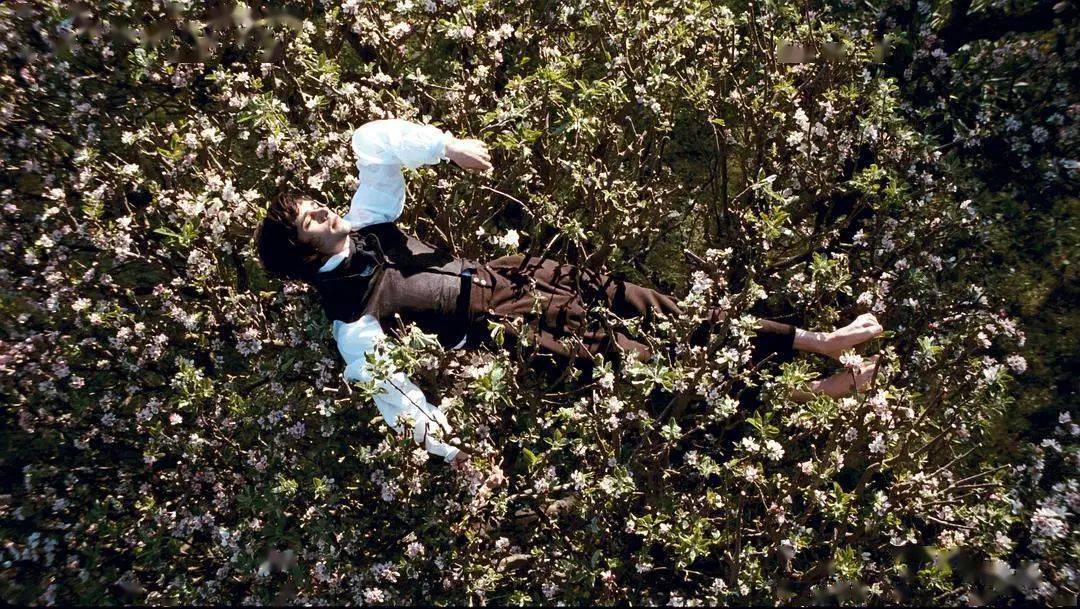 今天我们就来盘点这部电影的「经典镜头语言」,分析其中构图,光线