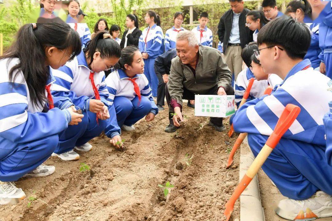 军粮城中学老师图片