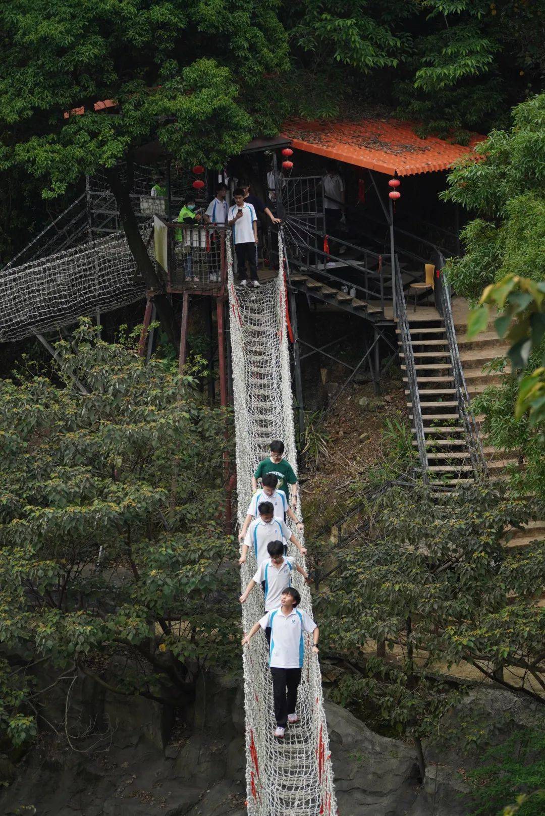 亲子,刺激森林飞索,树冠长廊,七彩滑道等国内三大玻璃桥之一佛山