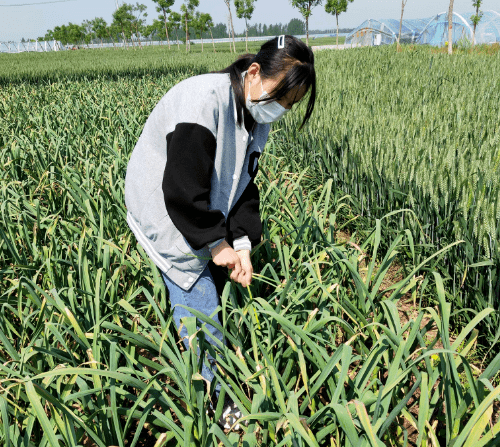 聊城教育教学活动展播第611期_劳动_发展_东昌府区