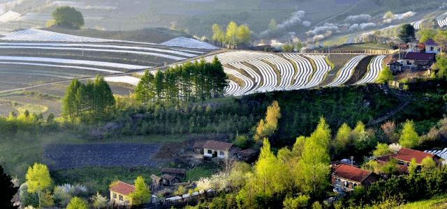 临江风景图片