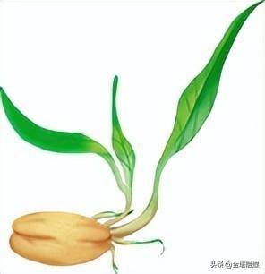 让绿色版图持续延伸(要让绿色成为引领发展的第一动力)
