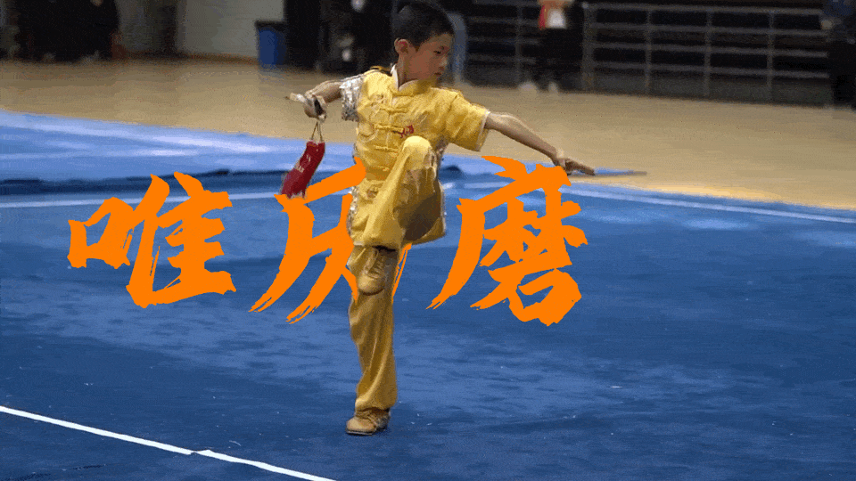 第二届“甘小侠”西北五省区青少年演武大会即将到来！_武术_临夏_功夫