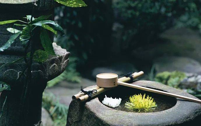 風來聽風,雨來聽雨,人生百味,隨意就好_音樂_瀏覽器_心境