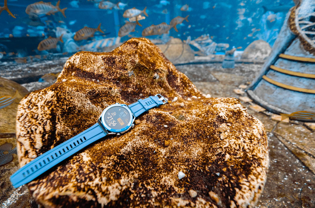 ��ĩ�ͱ�����ΪWATCH Ultimate �Ƿ���ʦǱˮ����ȫ�� ...