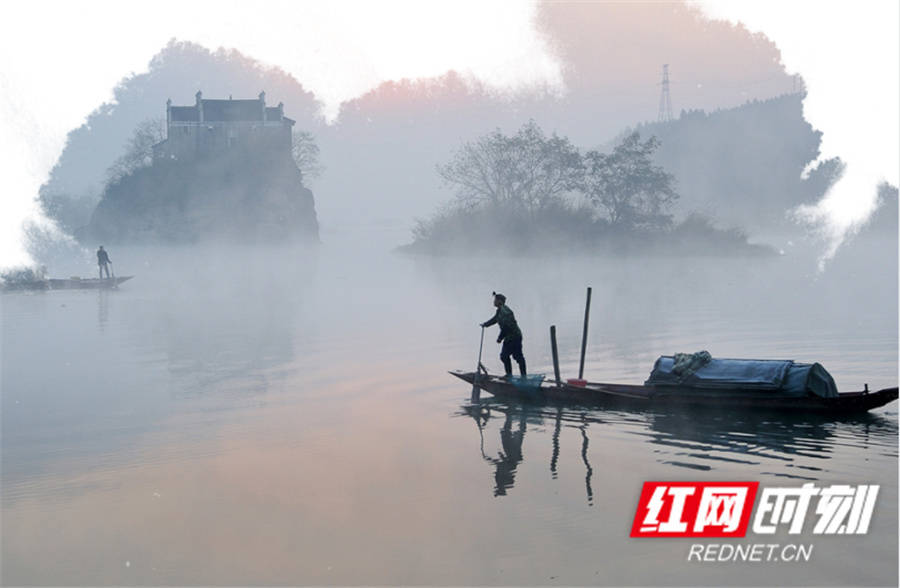 一只白头鹎的自白：“我在永州挺好的！”