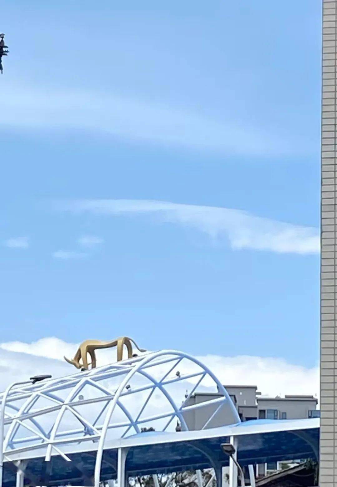 川农天桥大片震撼来袭!_顶流_er_师生