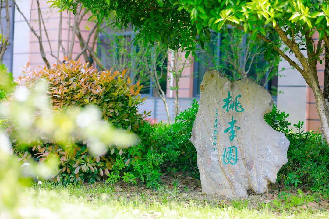 十年,南师附中这所分校真的做到了!_教育_黄山路_新城