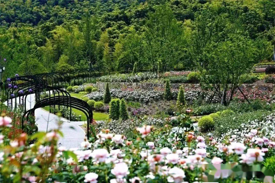龙虾节uci国际泵道赛等精彩活动等你来打卡仙山湖景区仙山湖地阔水碧