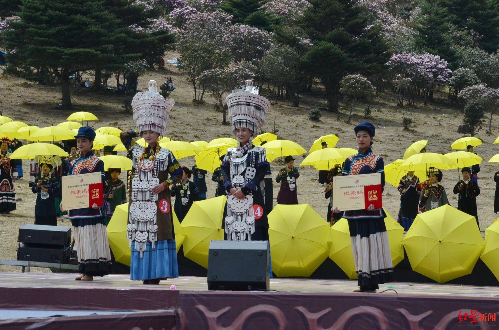 凉山普格县索玛花赏花季开幕,彝族传统选美冠军出炉