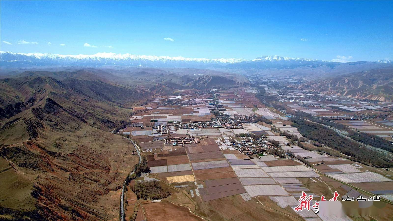 凉州区灯山村:融合"农文旅" 奏响"振兴曲"_甘肃_金奉乾_乡村