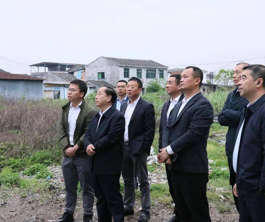 陈远景在苍南调研_工作_整治_综合