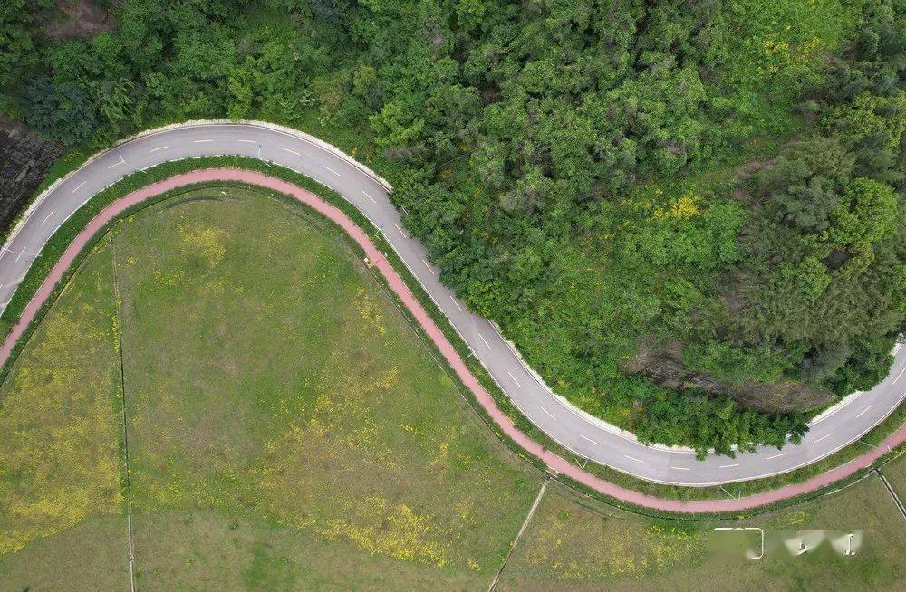 昔日垃圾填埋场"变身"生态绿地 原来地下有这些"黑科技"_长生桥_整治