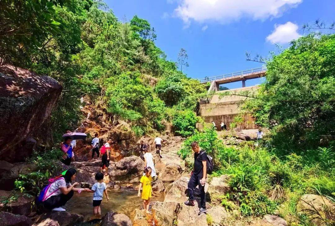 公園篇大尖山森林公園秀麗湖公園田心公園香樟公園(不荒樟)岐澳古道來