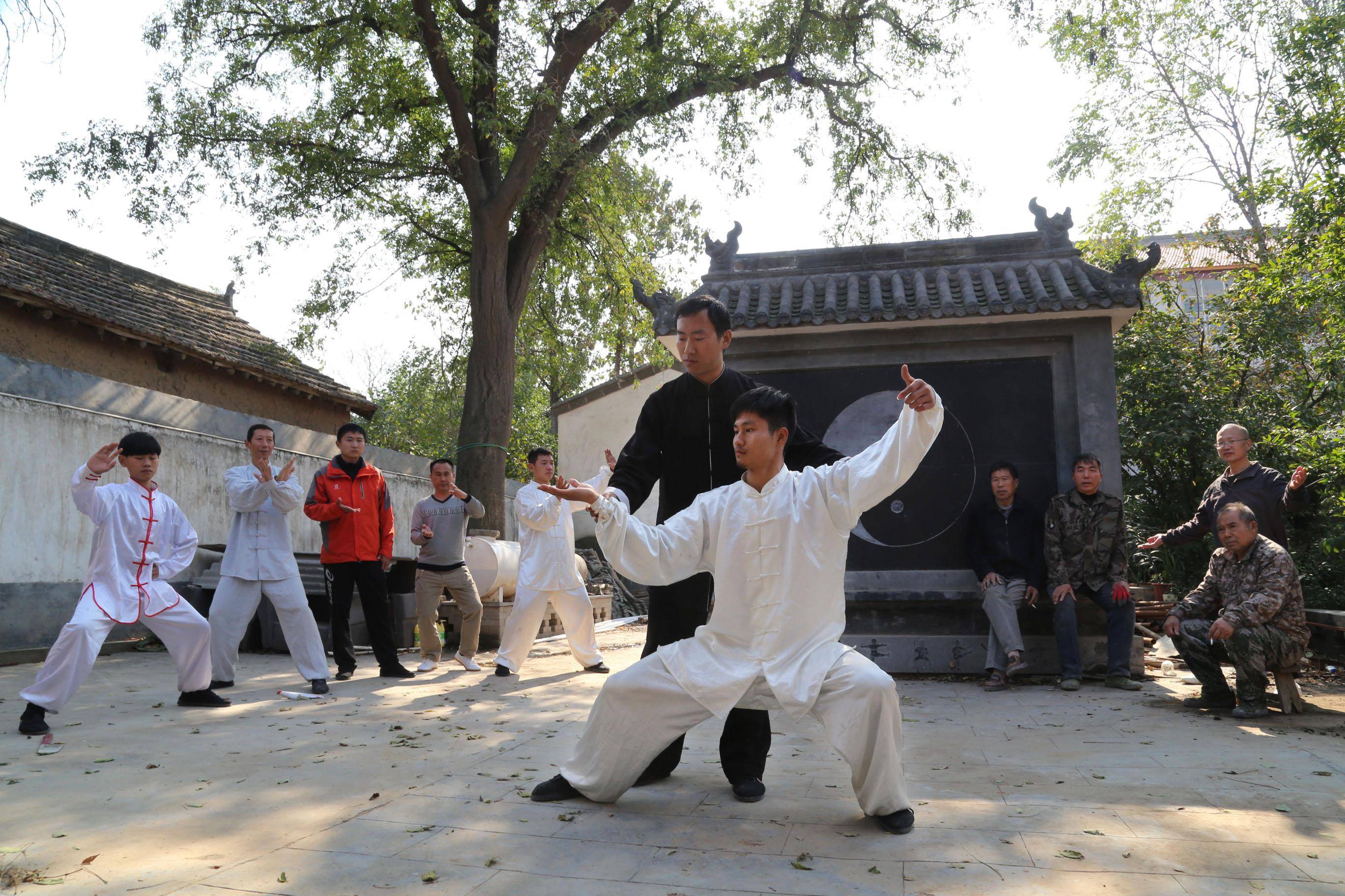 陈家沟:“世界村庄”太极潮_王建强_文化_传统