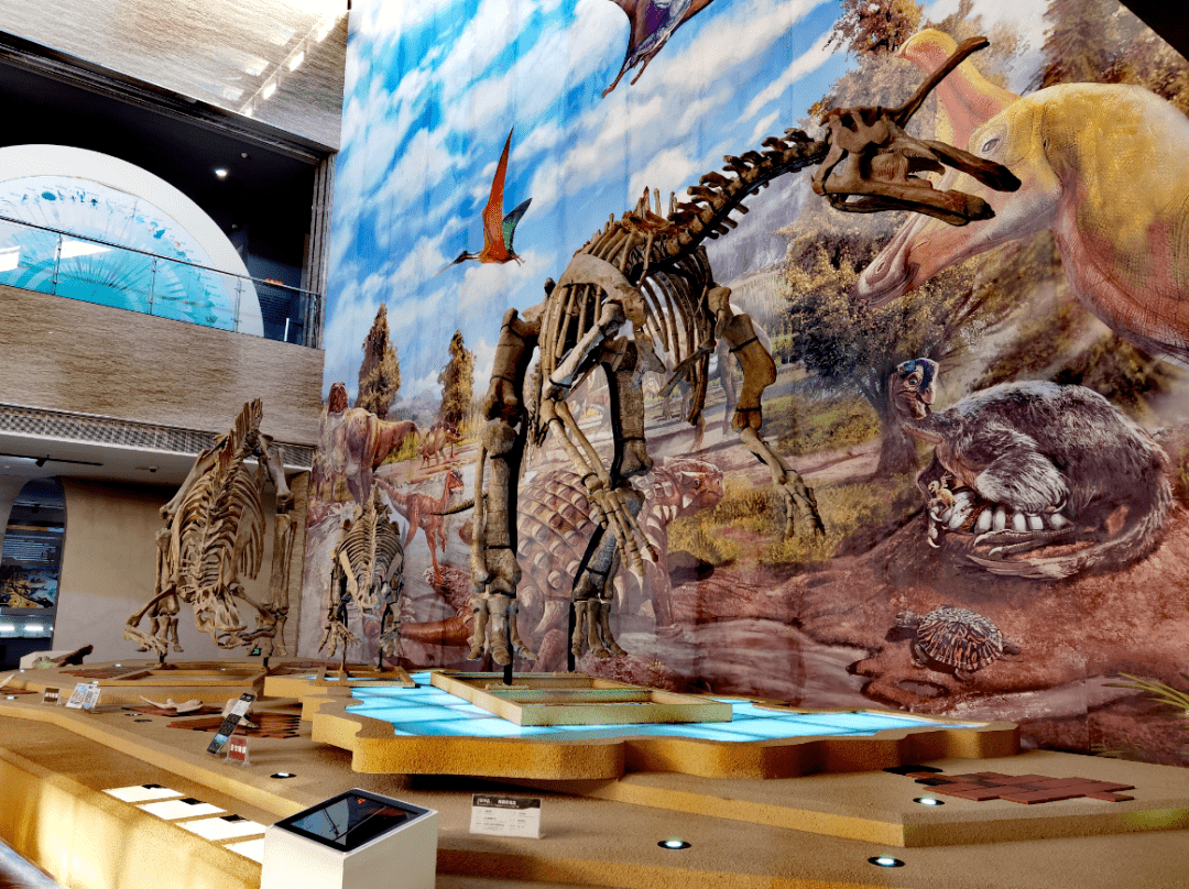 莱阳是著名的中国恐龙之乡,更是研究白垩纪地球演化和地质变化最