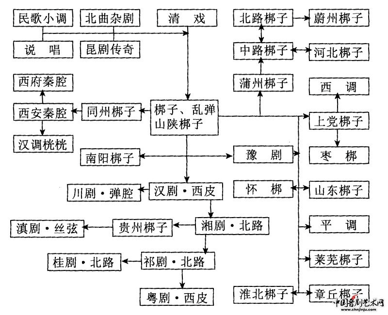 五脉绿绒蒿花（绿绒嵩图片） 第10张