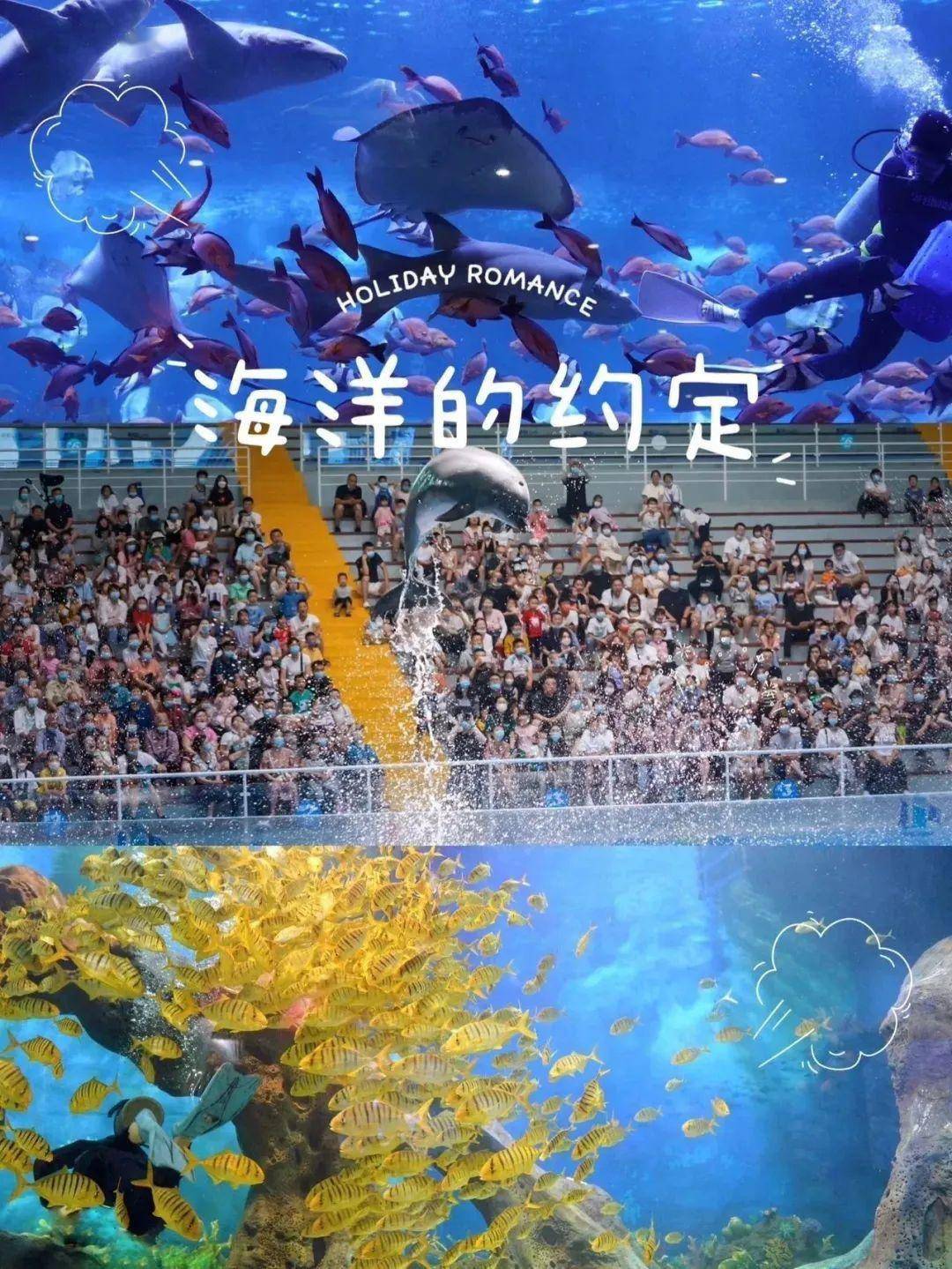 狂欢盛宴也上演着精彩的水下演出在曲江极地海洋公园里相册里收获了一