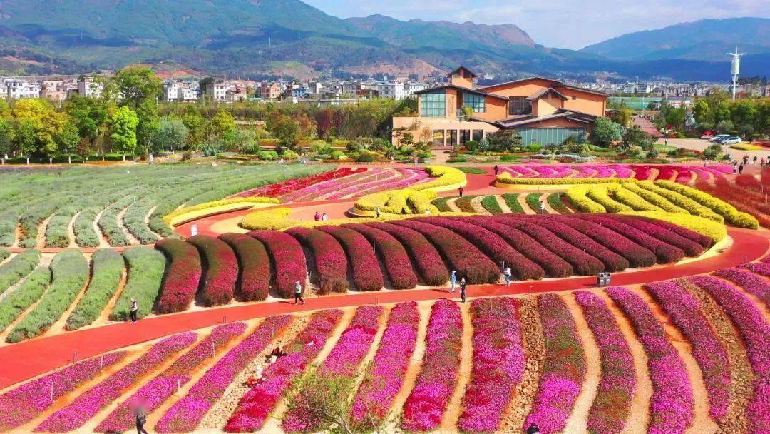 澄江广龙旅游小镇图片图片