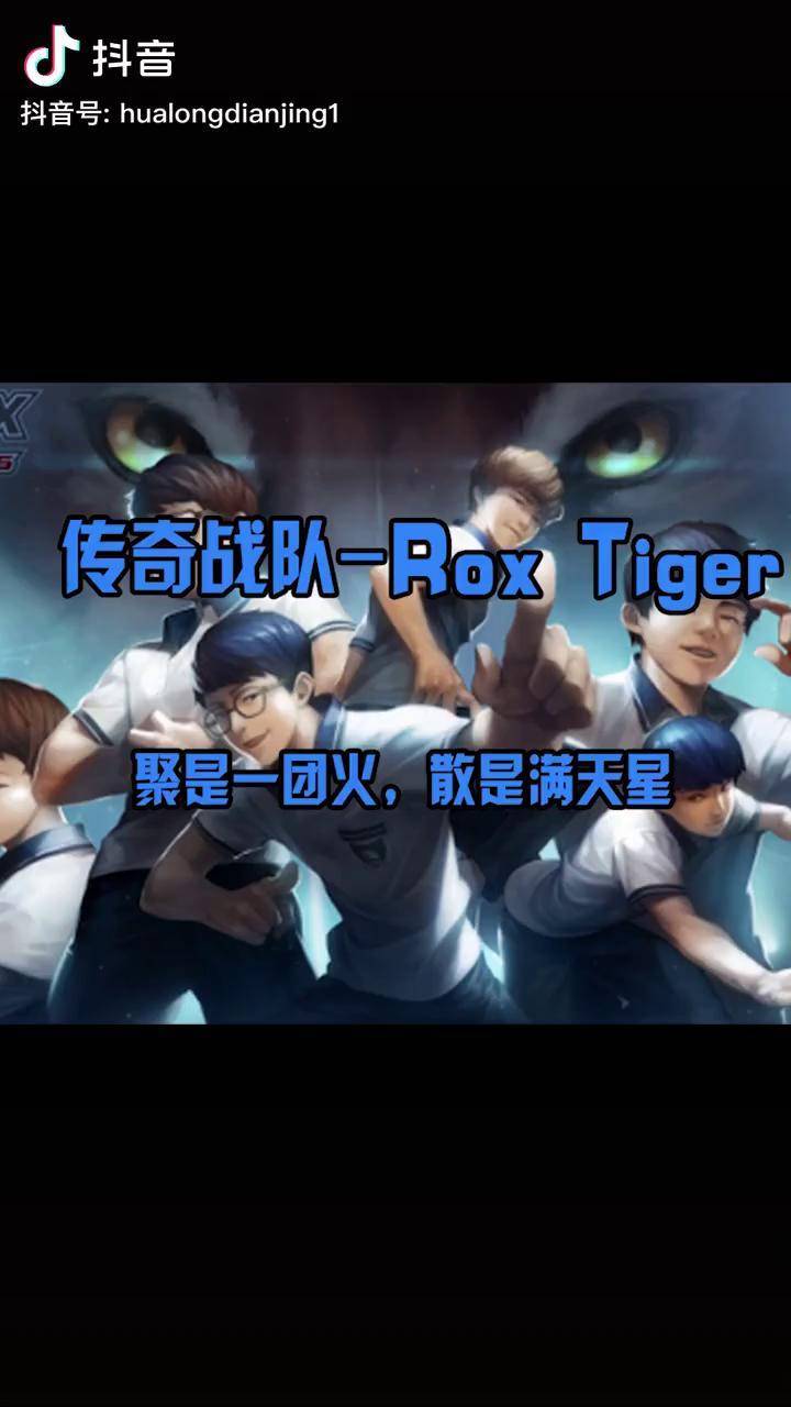 roxtiger图片