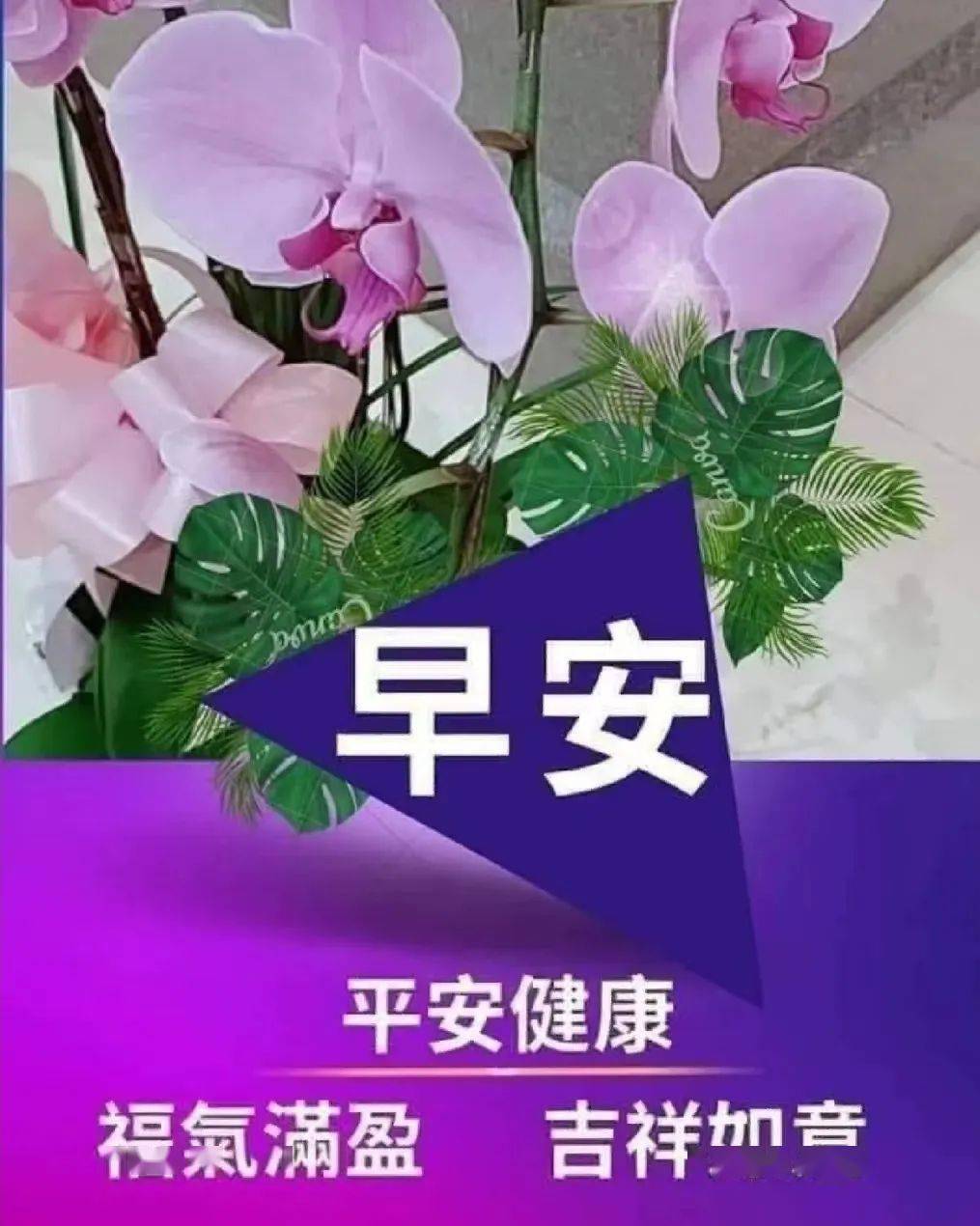 精选温馨早安祝福图片祝福语