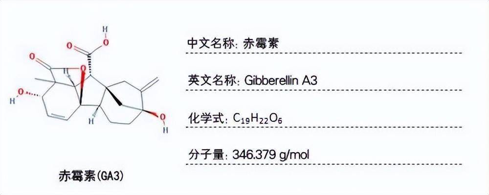 种子图片（种子图片大全图 植物） 第10张