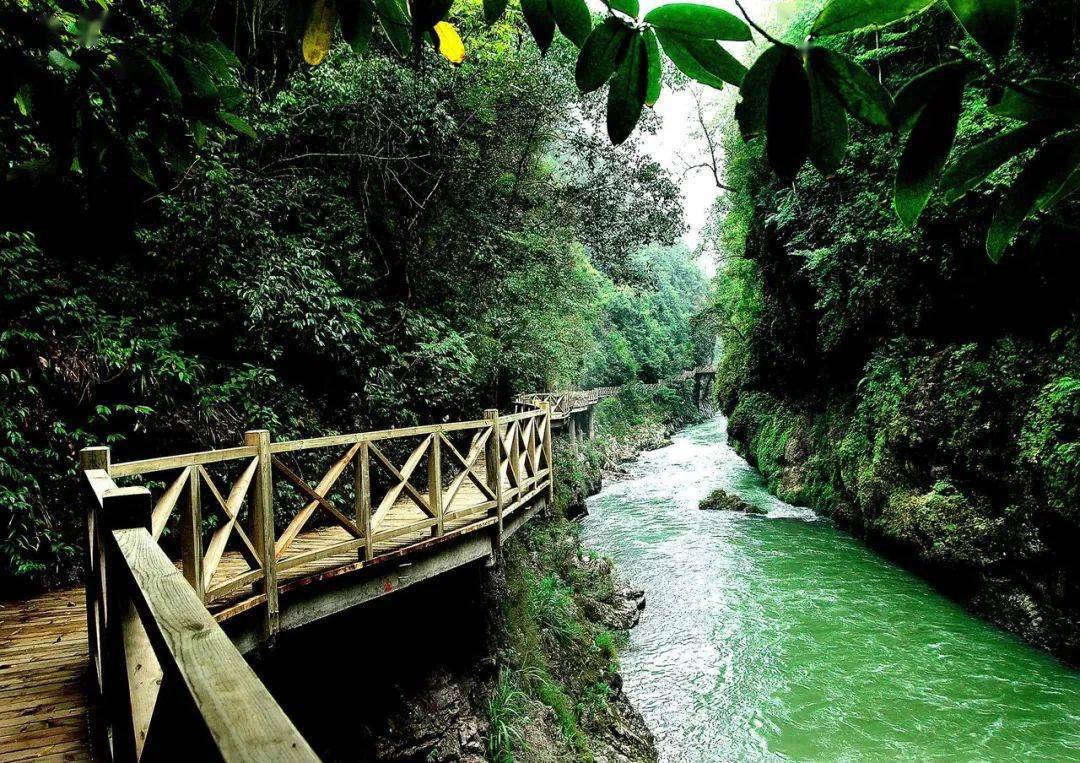 令人神往的紫江地缝_生命_灵性_生态