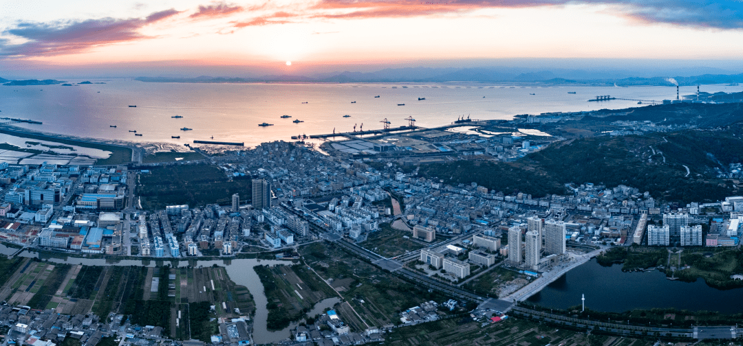 【国创进行时】玉环大麦屿街道:三步走,织密食品安全"监管","宣传"和"
