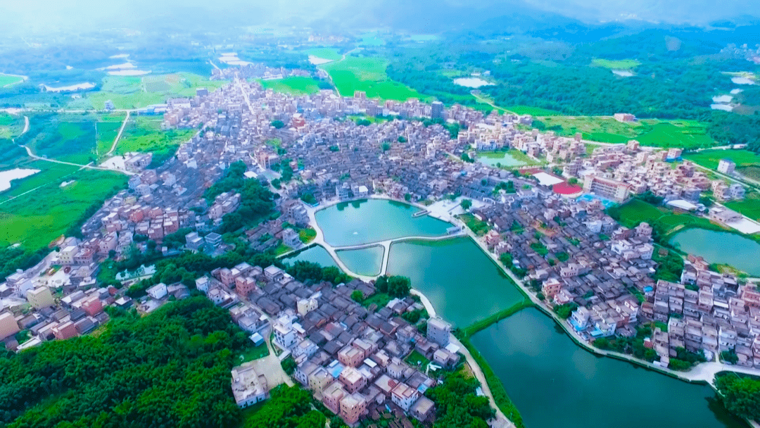 新兴县稔村镇坝塘村发展水产养殖,持续壮大村级集体经济