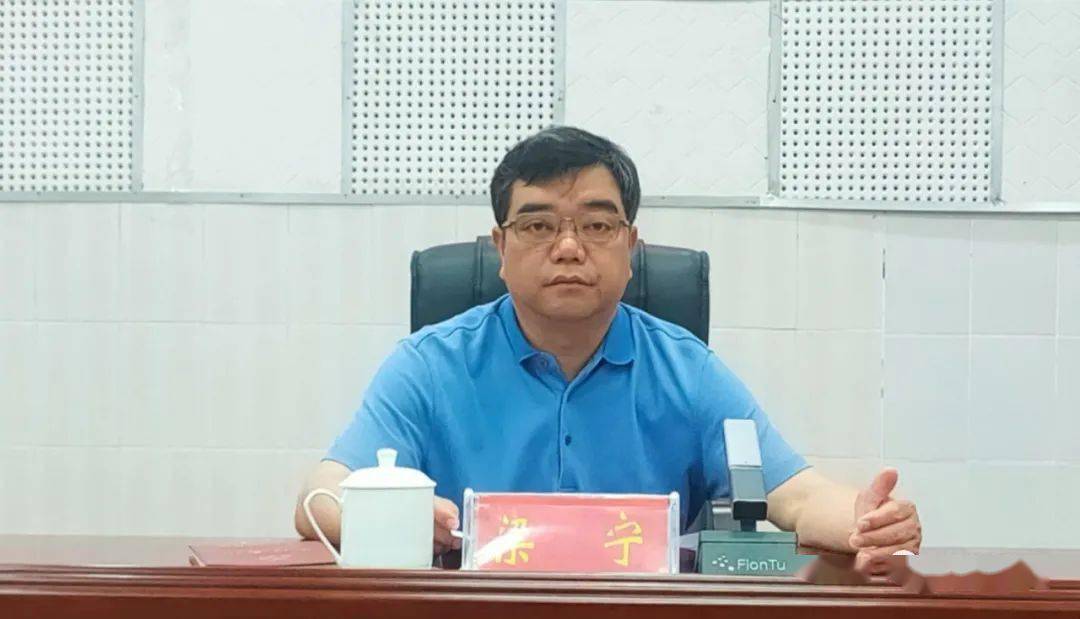 大化召开2023年招商引资工作专题会议_项目_自治县_梁宁