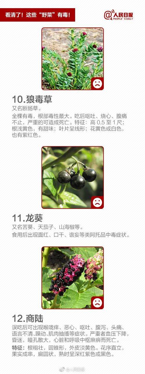 苜蓿花（苜蓿花百度百科） 第8张