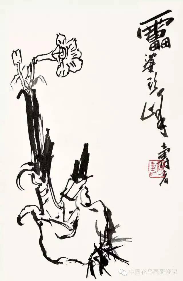 写意水仙花的画法,好学实用!(内附视频)_花冠_变化_叶子细