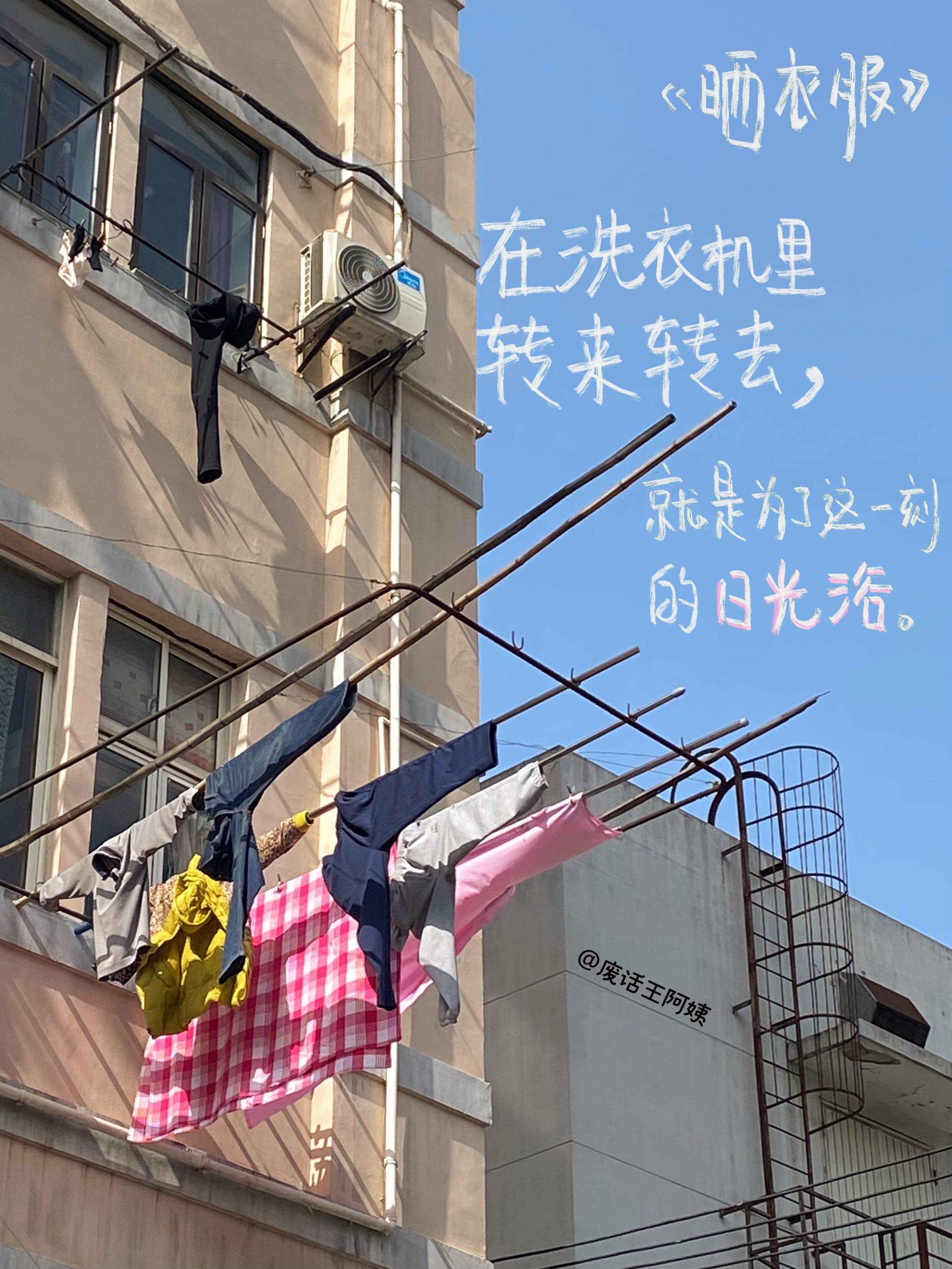 “把生活中的废话,统统开成喇叭花!”湖南男大学生的诗治愈了你吗?-搜狐大视野-搜狐新闻