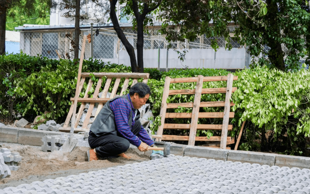 与属地居委会一同推动问题解决,将原有的部分土路铺设水泥和草坪砖,并