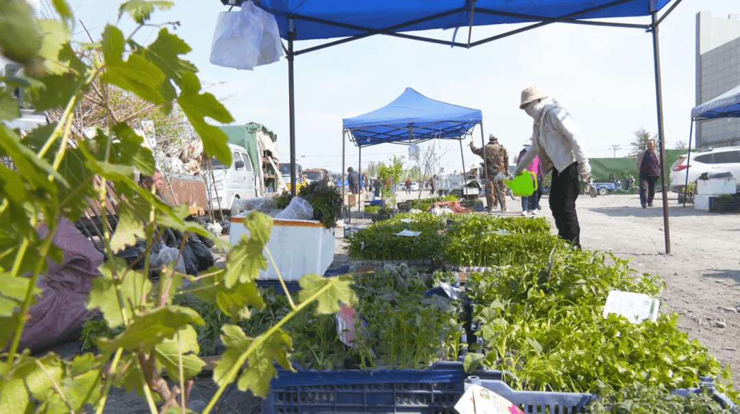 农场农贸集市 激发消费活力_新湖农场_商户_居民