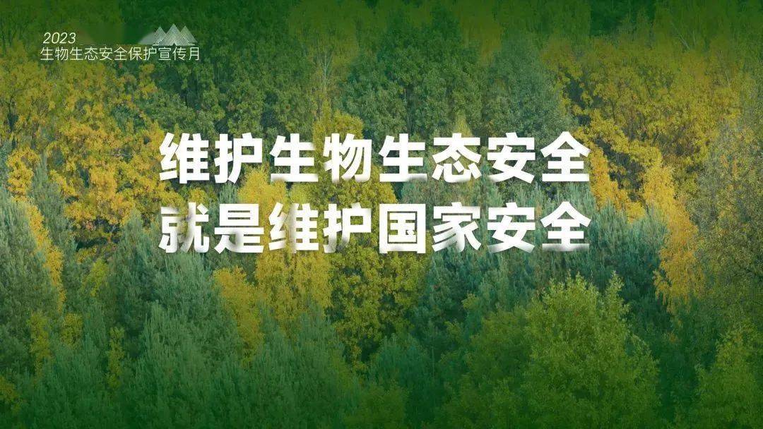 宣传海报丨2023高黎贡山生物生态安全保护宣传月