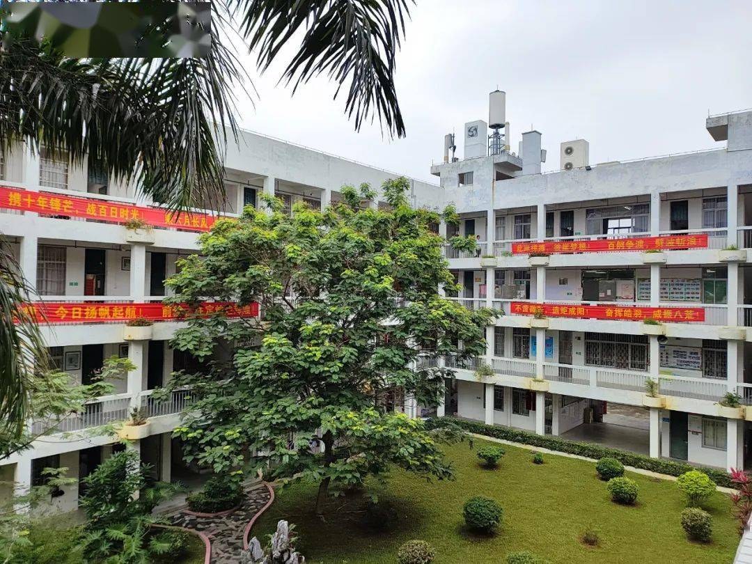 台山高三学子全力备考67_教育考试院_科目_鹏权中学