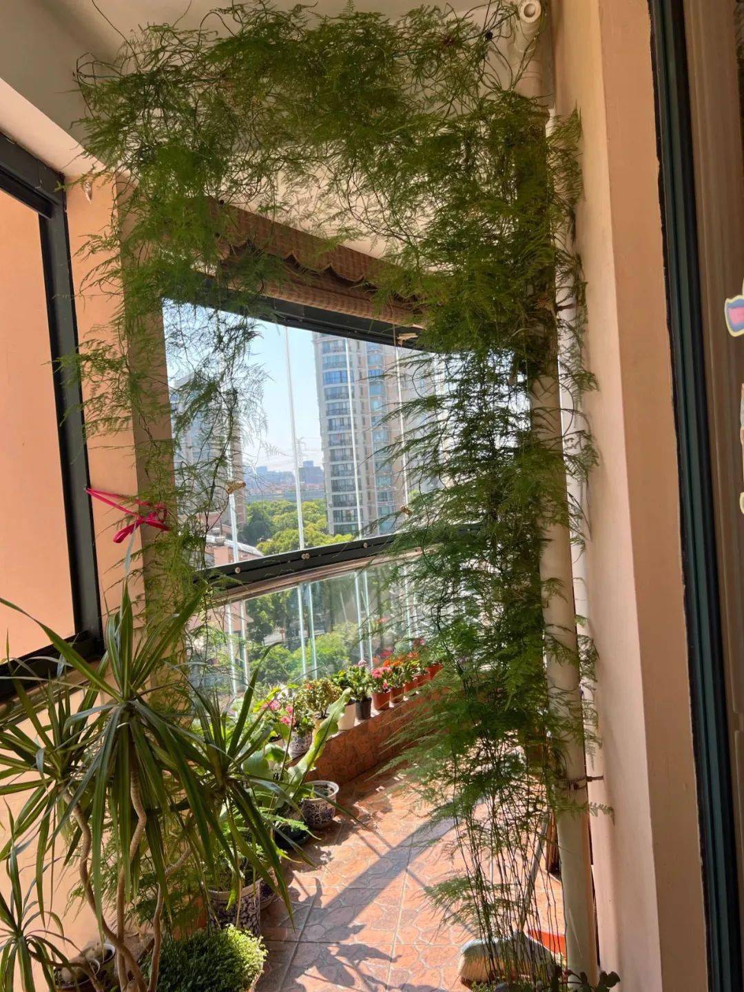 "美丽家园·遇见最美" 最美阳台评选结果出炉啦_绿化_生活_活动