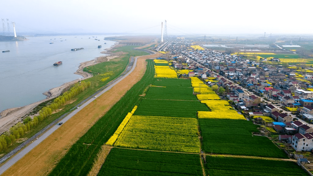 近年来,安徽省安庆市望江县漳湖镇通过水系治理打通了"绿色青山"向"