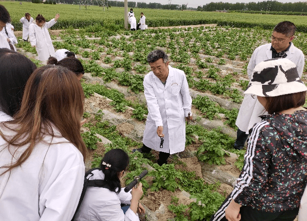 【教学动态】学院组织作物病虫草害综合实践活动_进行了_小麦_能力