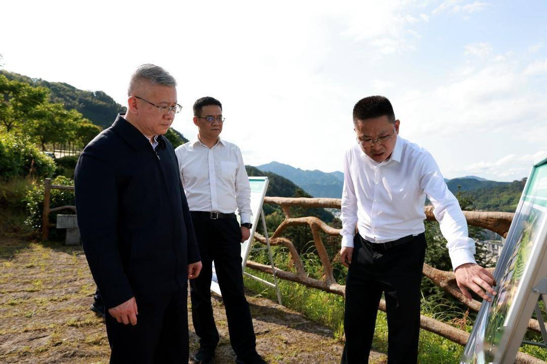 浙江省委常委,常务副省长徐文光莅景调研_景宁_发展_资源