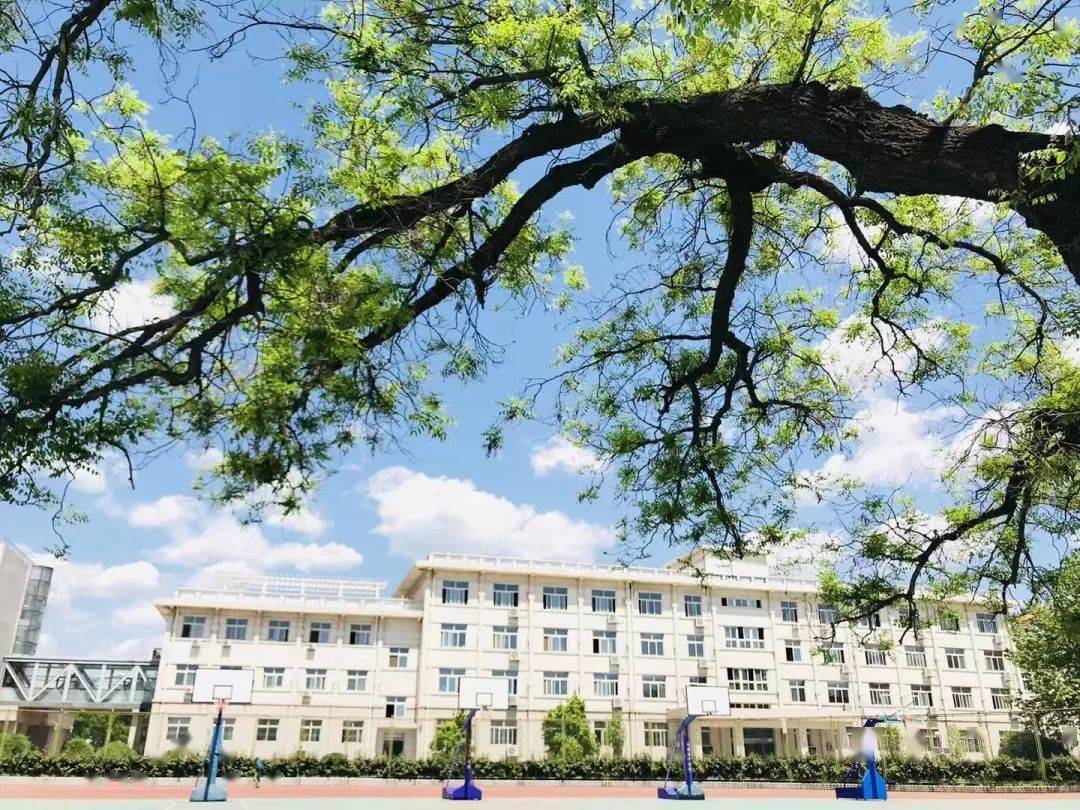 房山中学校园开放日_北京市_高中_拼图