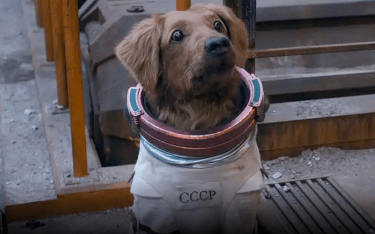 《银河护卫队3》里的太空狗,实际上死在了太空