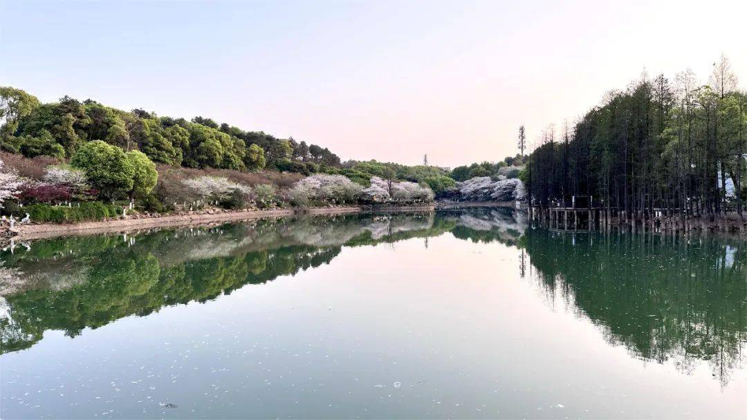 禹韵清廉|泰禹小学第一季"禹韵清廉"寻影绘诗意作品展(三)_许家瑞