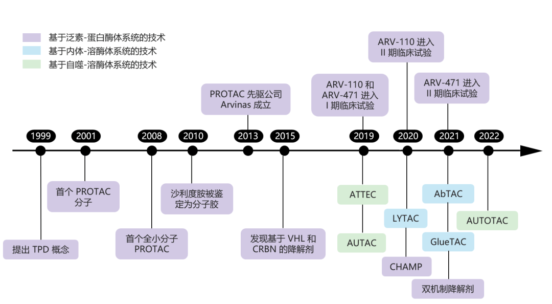 万字详解靶向蛋白降解:诞生二十年,近五年繁荣,一文