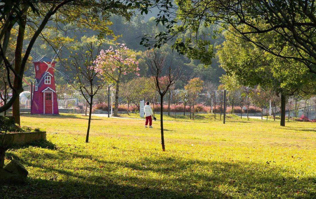 周末来南山用陪伴告白爱,南丹山免费入园!