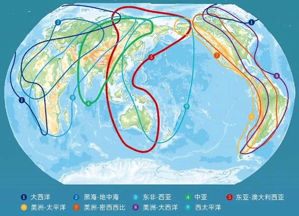全球候鸟迁徙路线图片