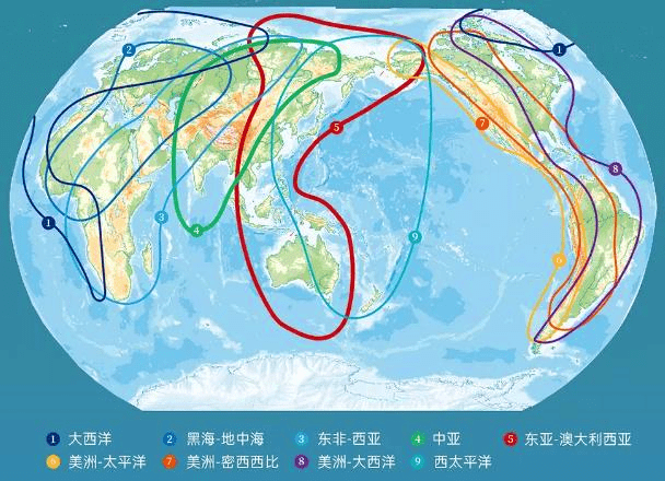 全球候鸟迁徙路线图图片