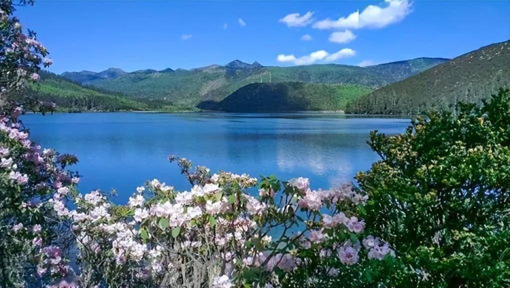 我想和你一起慢慢变老_樱花_丽江古城_洱海