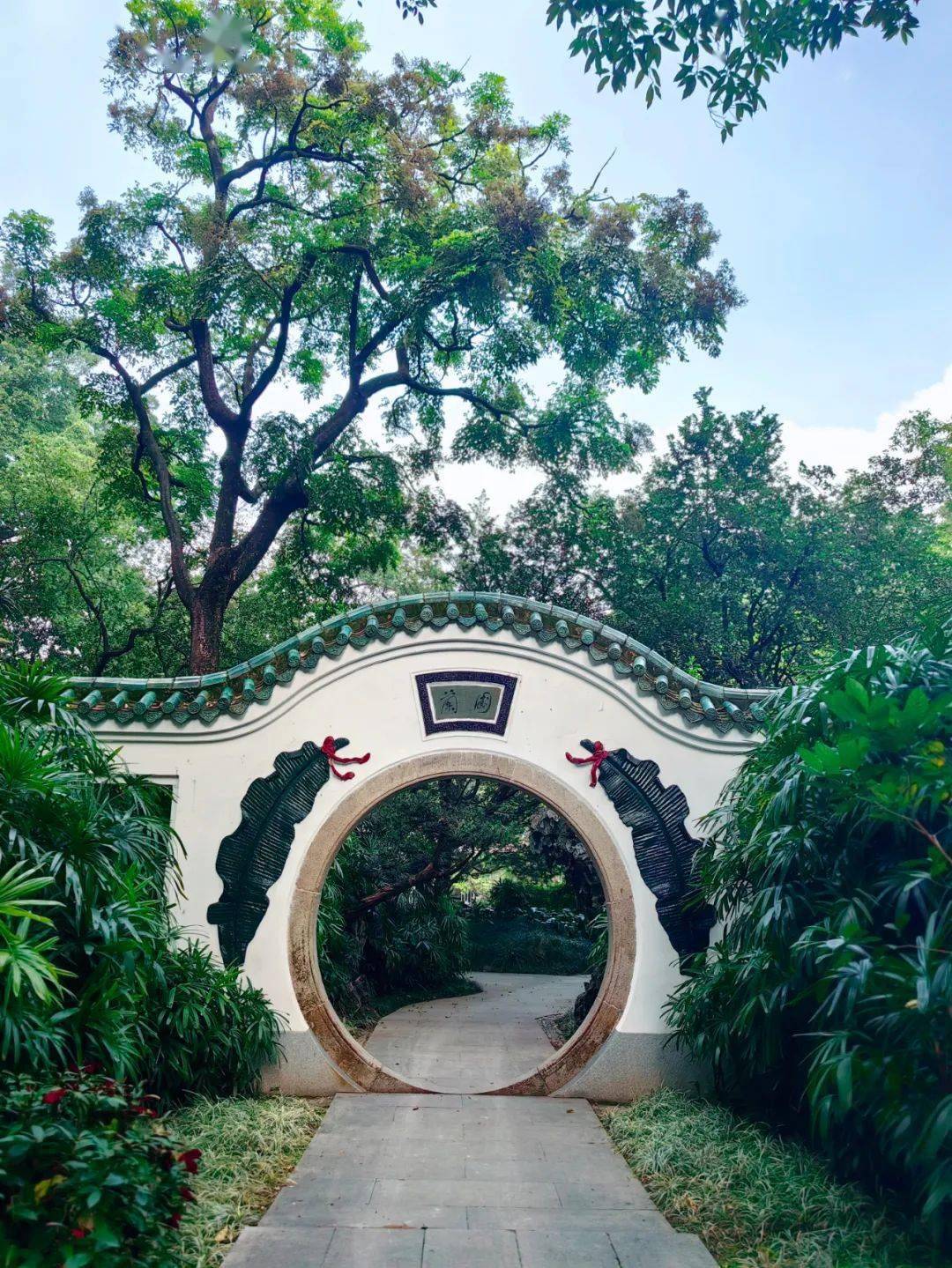 初夏已至陪她,去逛古风园林地址:越秀区解放北路988号99雅韵轩